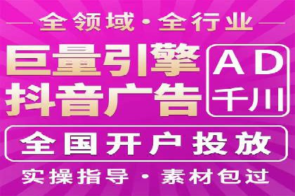 SEM广告投放策略：成功案例解析